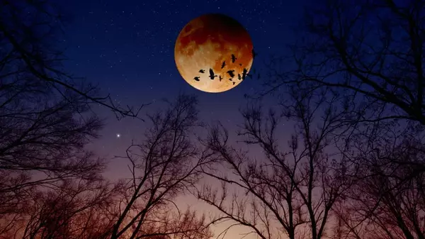 Червивая Луна в апогее: какие сюрпризы готовит полнолуние в марте 2024