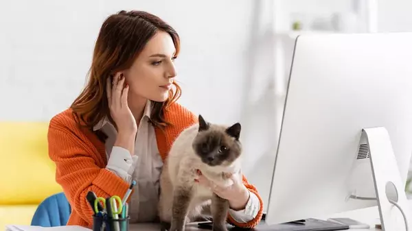 Почему кот мешает вам работать за компьютером: эксперт назвала истинну...