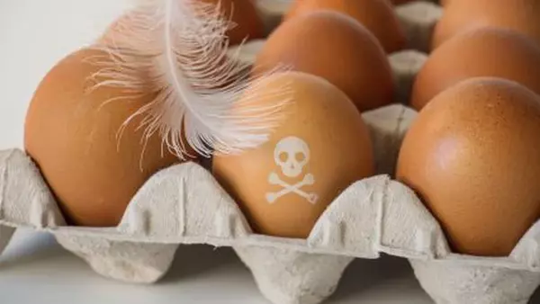 Угроза смертоносной болезни: вот почему опасны сырые яйца