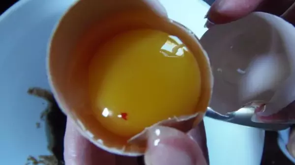 Насколько опасны красные и коричневые пятнышки в курином яйце: многие ...