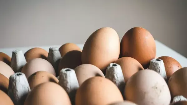 Для чего натирают куриные яйца растительным маслом: об этой хитрости мало кто знает