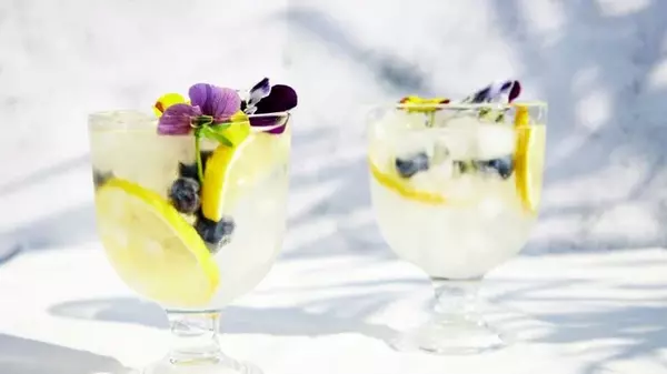 Шампанское с цветами и лимоном во льду: как приготовить эффектный кокт...
