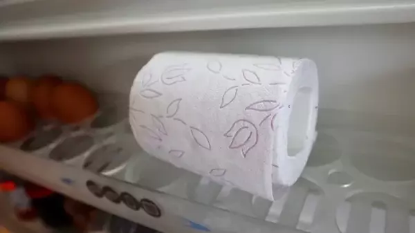 Для чего кладут туалетную бумагу в холодильник в Германии