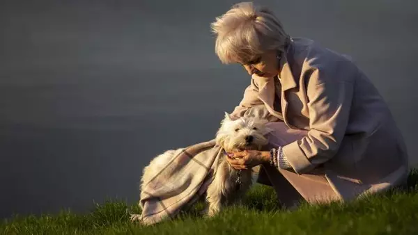 5 лучших собак для пожилых людей: как выбрать любимца на пенсии