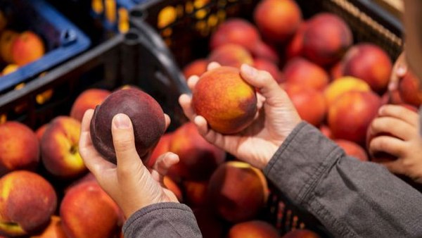 Персик или нектарин: какая разница между фруктами и что полезнее для з...