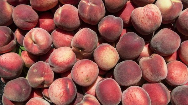 Что произойдет с вашим телом, если будете есть персики каждый день: 7 полезных преимуществ