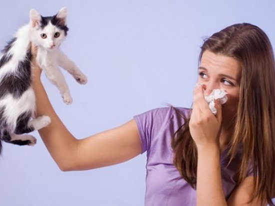 Аллергия на животных – симптомы и лечение