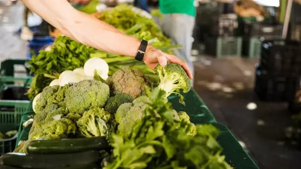 Капуста или шпинат: вот какой продукт более полезен для здоровья