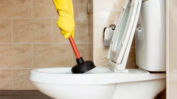 Почему чай и суп ни в коем случае нельзя выливать в унитаз: запомните это навсегда