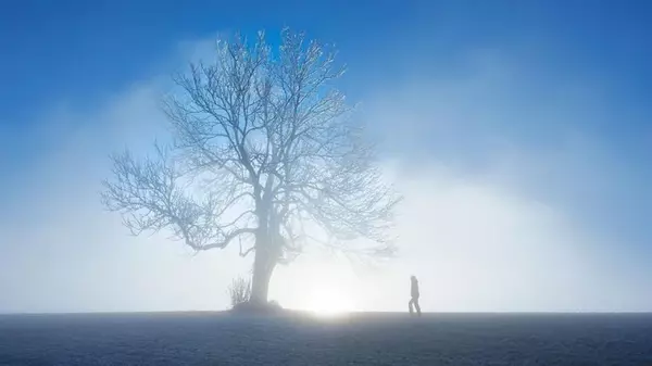 Доверчивый человек или скептик: откройте свою природу с помощью теста