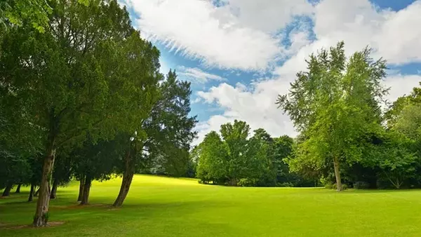 Праздник сегодня, 8 апреля: что нельзя делать, приметы, у кого День ангела