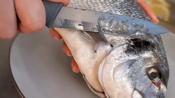 Как быстро почистить рыбу, чтобы не разлеталась чешуя