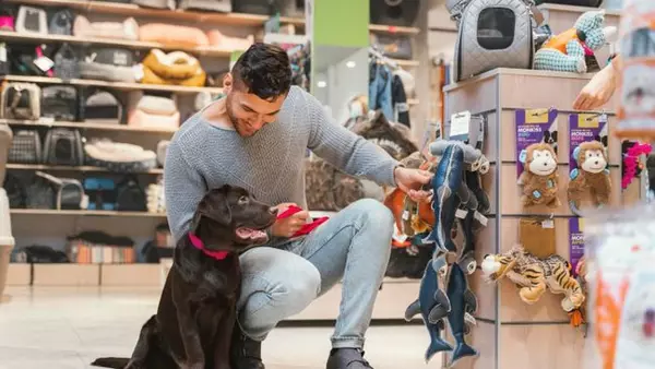 Что нельзя покупать коту и собаке: рейтинг вредных игрушек