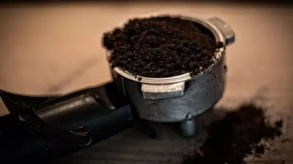 Кофейная гуща — удобрение для растений, полезный помощник в доме, средство для женской красоты