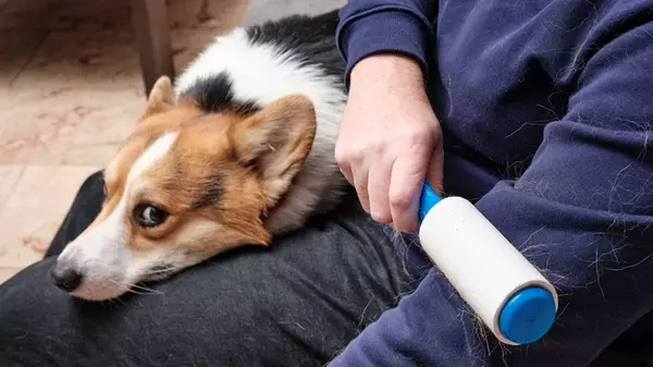 Как избавиться от ворса на одежде без липкого роллера: 9 способов, действительно работающих