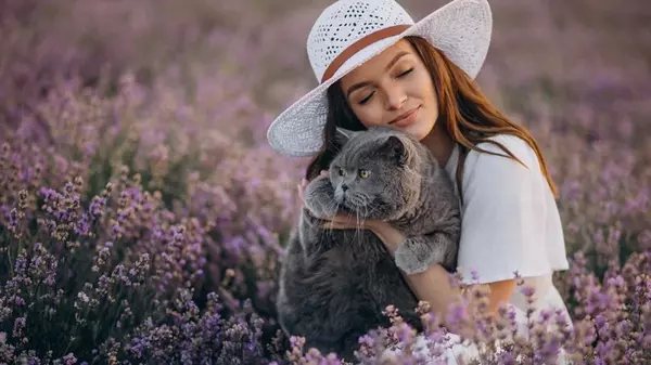 Почему лаванда смертельно опасна для кошек: как защитить своего любимца