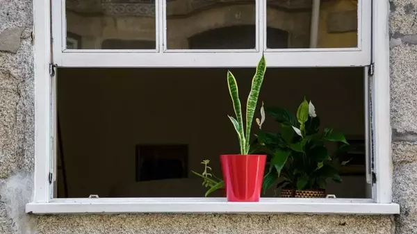 Почему нельзя спать с открытым окном: даже летом