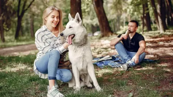 Он, она и животное: что делать, когда отношения прекрасные, но партнер не выносит вашего кота или собаку