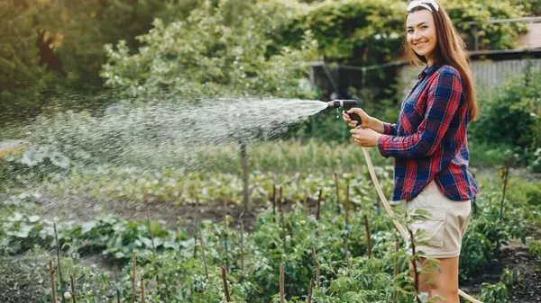 4 «золотых» правила полива огорода: все растения будут расти вдвое быстрее