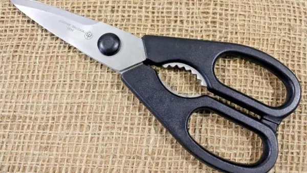 Вы тоже думали, к чему эти зубчики? Зачем между ручками ножниц есть металлическая часть