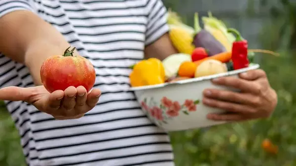 Как экономить на продуктах: эксперты назвали 7 овощей, которые дешевле вырастить, чем купить