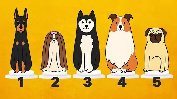 Какая собака импонирует вам больше остальных — такой у вас характер: психологический тест