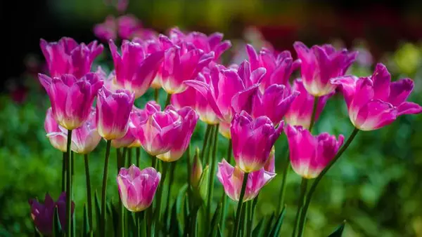 Вознесение Господне 2025: что нельзя делать в этот праздник, важные приметы