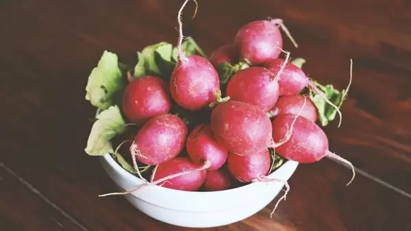 Огород на подоконнике: как вырастить редис в домашних условиях