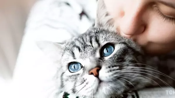 Это ложь: мифы о животных, в которые все верят