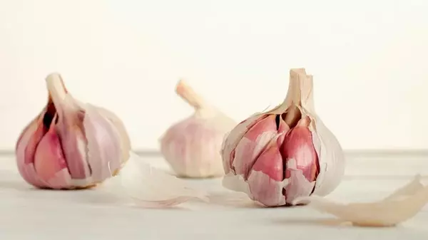 Невероятные методы использования чеснока в быту: зачем бросать пряность в унитаз и закапывать в саду