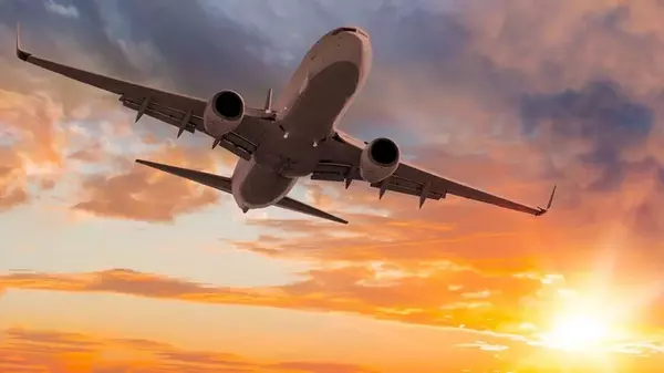 «Критический этап полета»: пилот объяснил, что означает странное жужжание в самолете