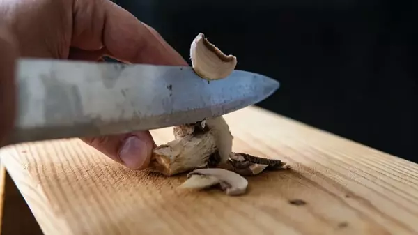 Вы будете удивлены: нужно ли чистить шампиньоны перед приготовлением