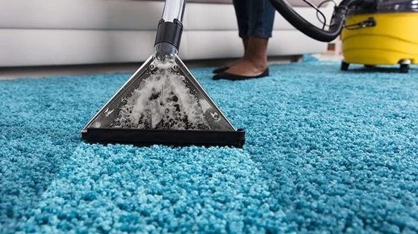 Eco Himchistka: профессиональная экологичная химчистка ковров в Киеве