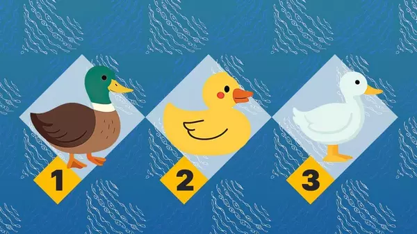 Какая утка нравится больше других: удивительно точный тест на тип личности
