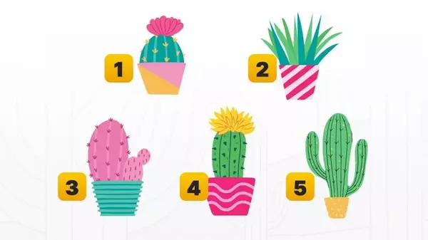 Этот шуточный тест поразительно точно описывает личность человека: нужно выбрать кактус