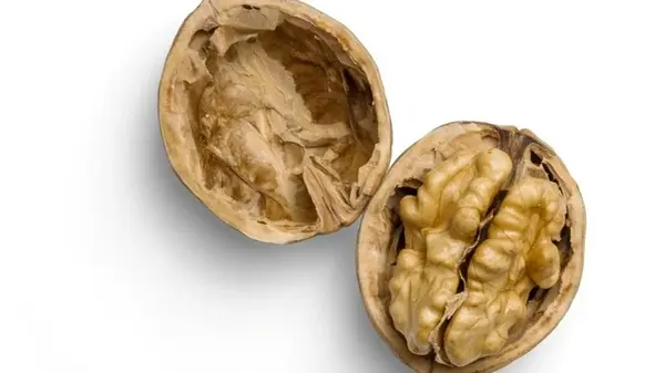 Прекратите выбрасывать скорлупу орехов: она поможет спасти комнатные растения