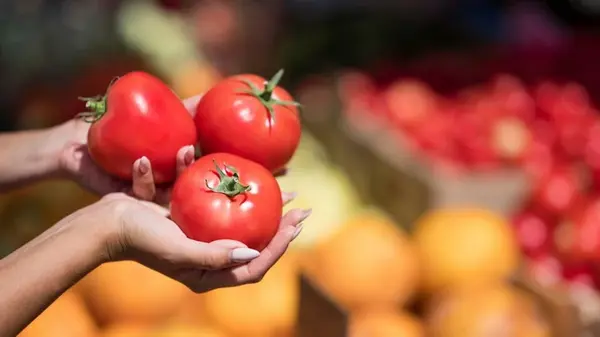 Чем опрыскивать помидоры во время цветения: будут ломиться от урожая даже в плохое лето