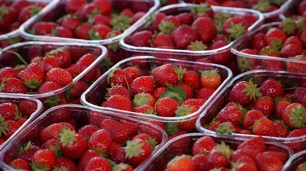 Зачем эксперты советуют брать с собой салфетку, когда идете покупать клубнику на рынок: хитрый трюк