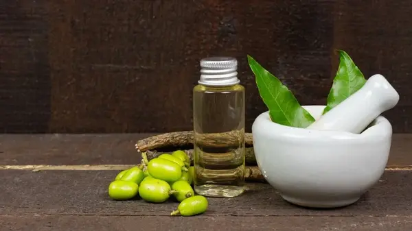 Как использовать масло нима для обработки растений от вредителей и болезней