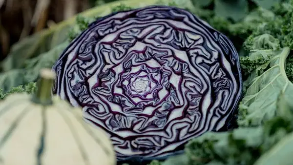 Этот дешевый продукт из магазина защитит сердце и снизит холестерин