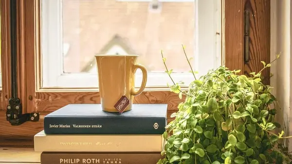 Цветы, которые нужно поставить на подоконнике, чтобы привлечь в дом счастье и изобилие