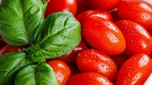 Где лучше хранить свежие помидоры и почему холодильник совсем для этого не подходит