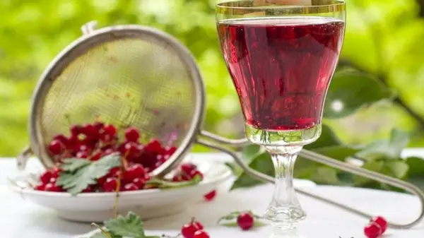 Домашнее вино из красной смородины: рецепт ароматного напитка из трех ингредиентов и вариант на водке