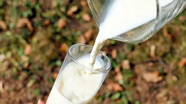 Один продукт из кухни — томаты будут плодоносить до сентября