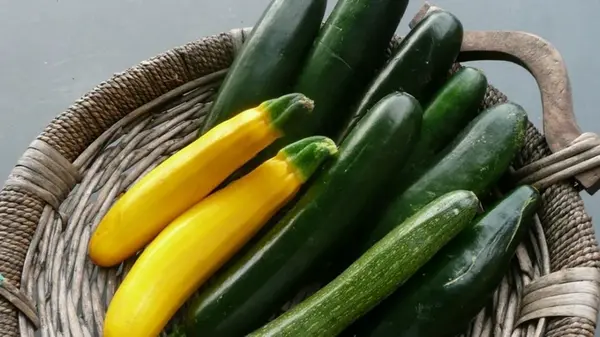 Что будет с вашим организмом, если в сезон регулярно употреблять цуккини