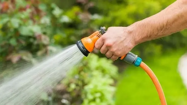 Никогда не поливайте сад и огород в это время суток