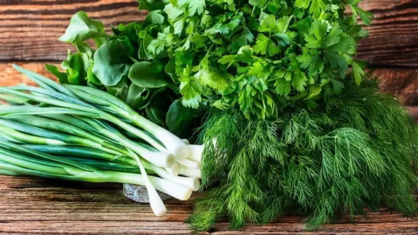 Как хранить зелень в холодильнике, чтобы она была свежей