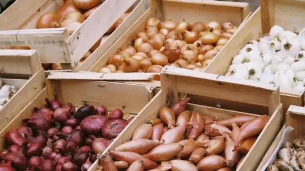 Как сохранить лук на зиму вплоть до весны: неожиданный лайфхак