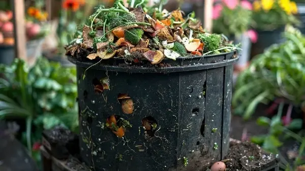 Секрет быстрого компостирования: как превратить отходы в удобрение за один сезон