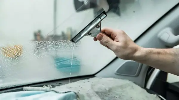 Чем очистить лобовое стекло от мошек и помета: 2 надежных метода